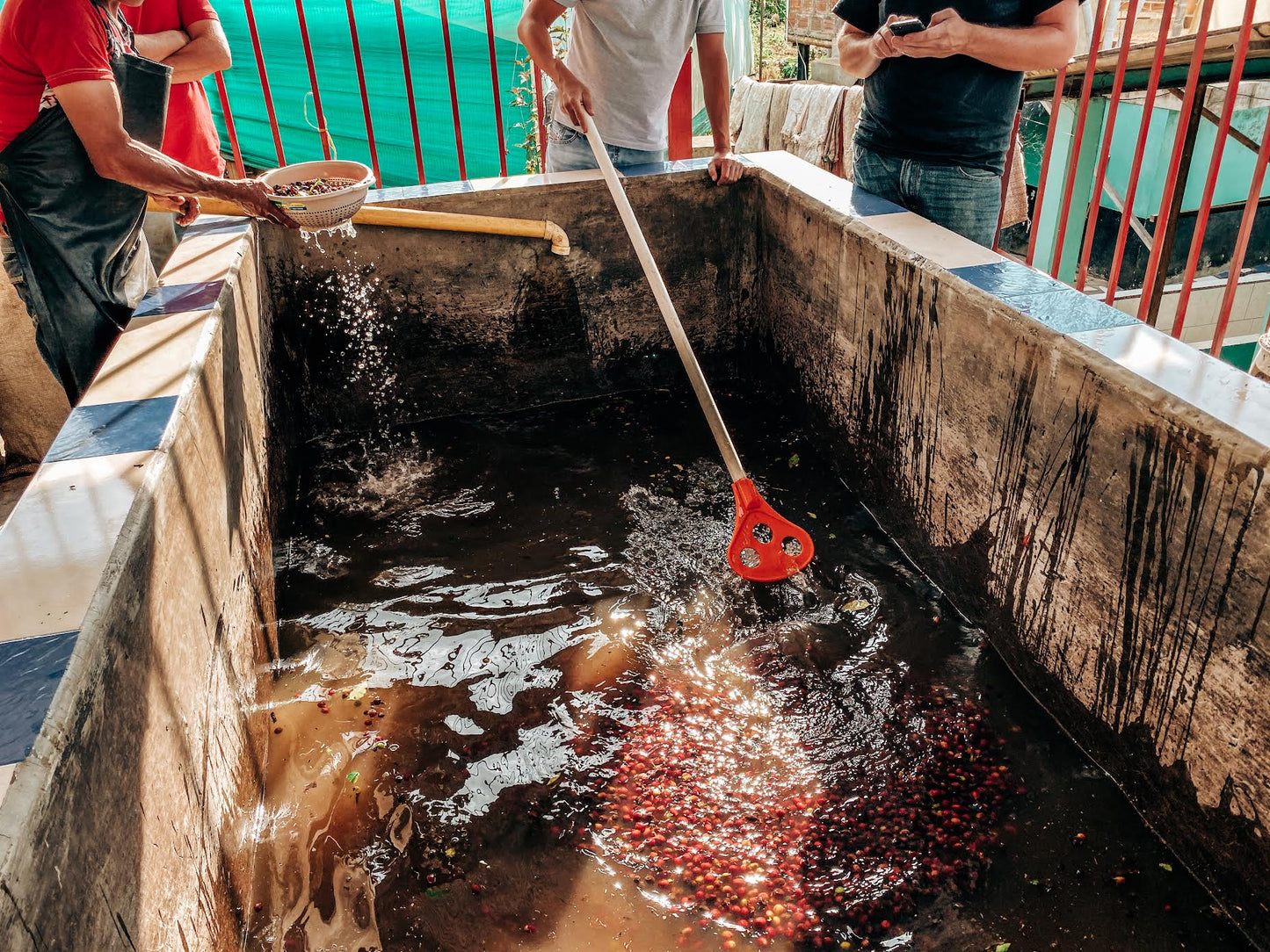 SPECIALITY COFFEE BEANS - NIMBUS PINK BOURBON, CALDAS, COLOMBIA, SINGLE ORIGIN DECAF