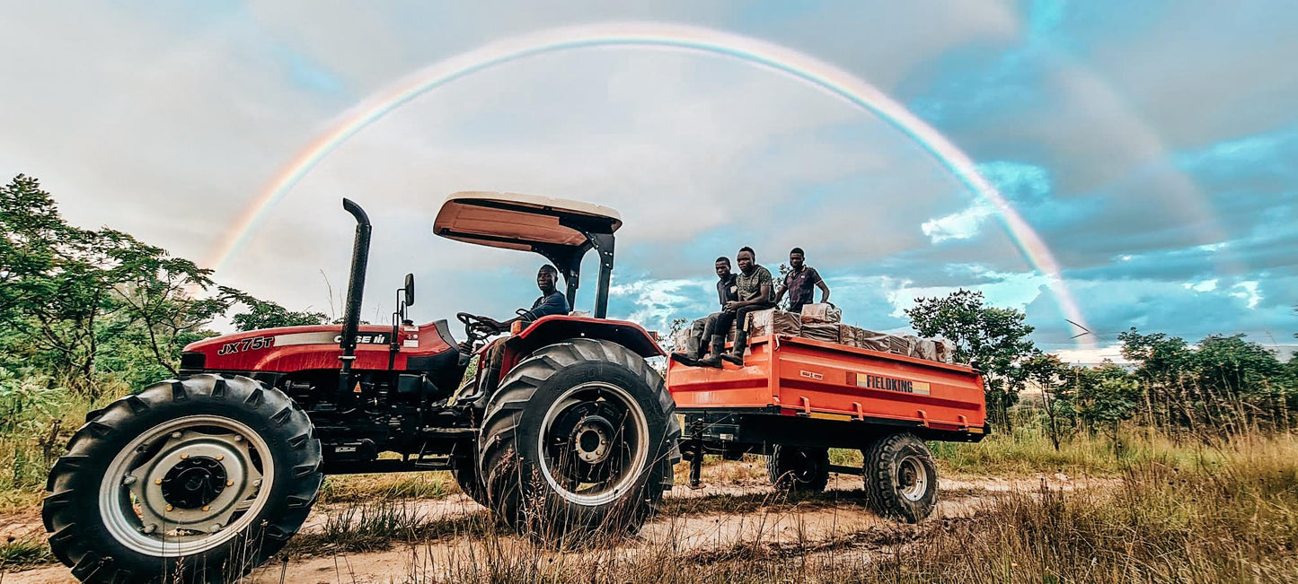 SPECIALITY COFFEE BEANS - STARMAYA, MOUNT SUNZU, ZAMBIA, SINGLE ORIGIN