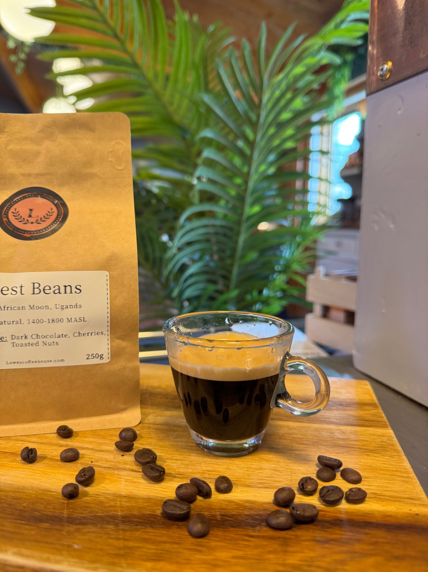 SPECIALITY COFFEE BEANS - AFRICAN MOON, UGANDA, SINGLE ORIGIN