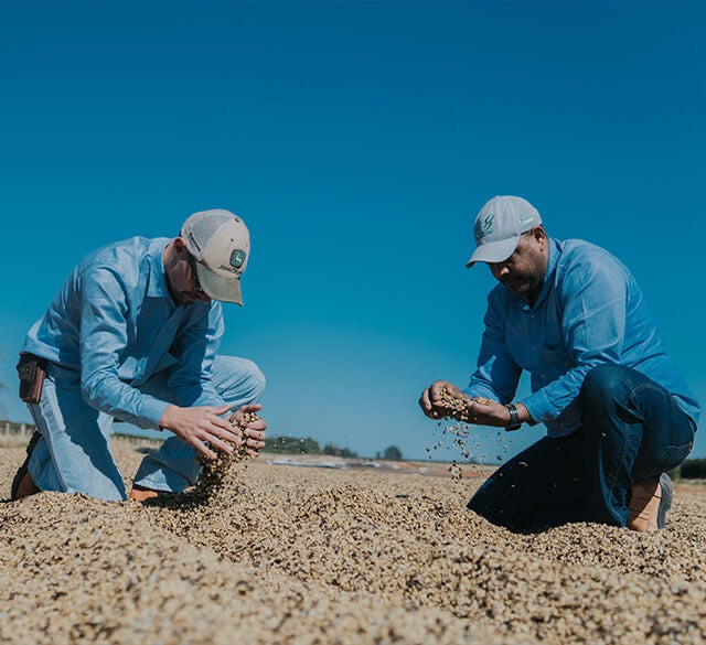 SPECIALITY COFFEE BEANS - MARCELO MORITA, BRAZIL, SINGLE ORIGIN