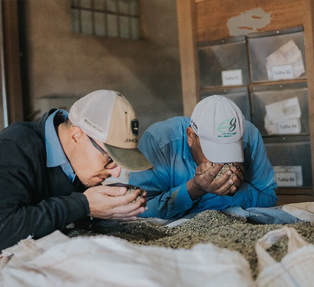 SPECIALITY COFFEE BEANS - MARCELO MORITA, BRAZIL, SINGLE ORIGIN
