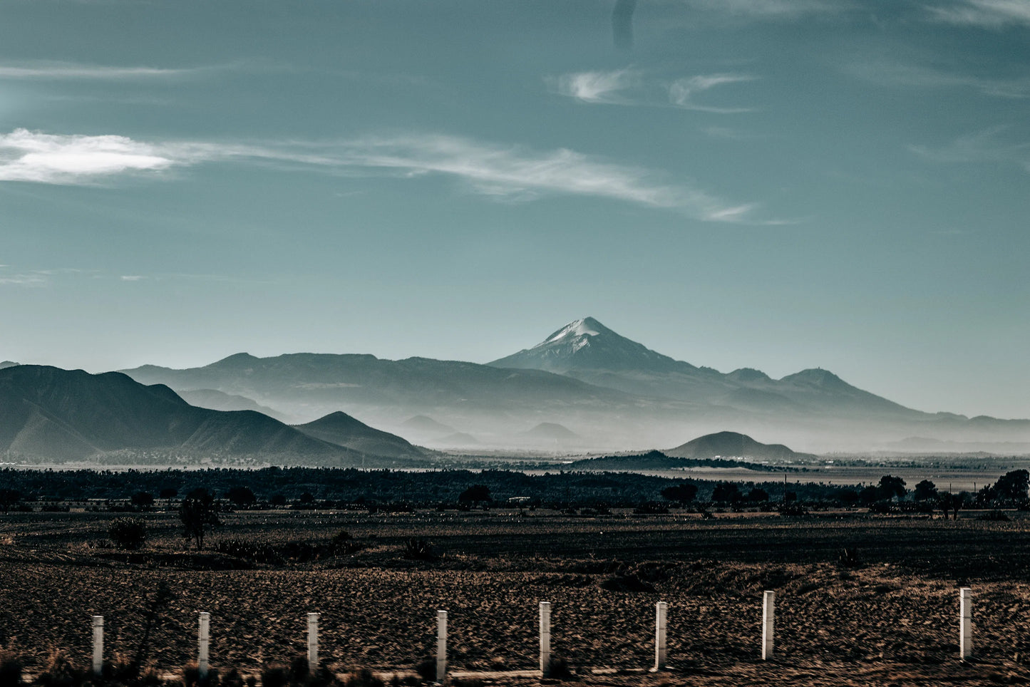 SPECIALITY COFFEE BEANS - DECAF QUETZAL, MEXICO, SINGLE ORIGIN