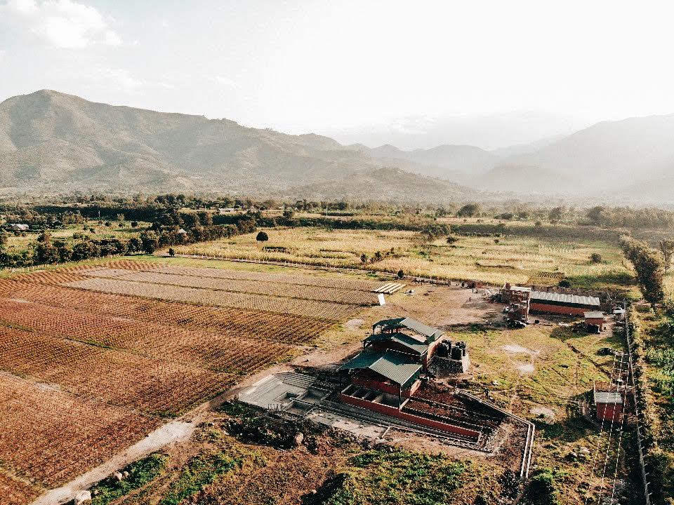 SPECIALITY COFFEE BEANS - MOUNT ELGON, BUGISU, EASTERN UGANDA, SINGLE ORIGIN