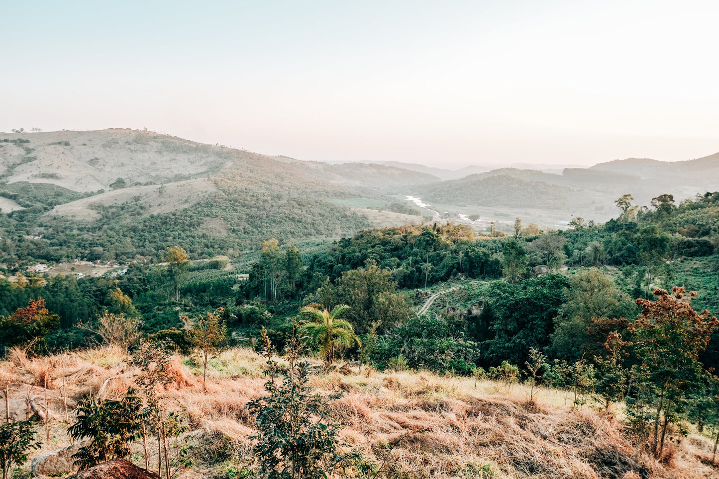 SPECIALITY COFFEE BEANS - ESPIRITO SANTO PINHAL, SÃO PAULO, BRAZIL, SINGLE ORIGIN