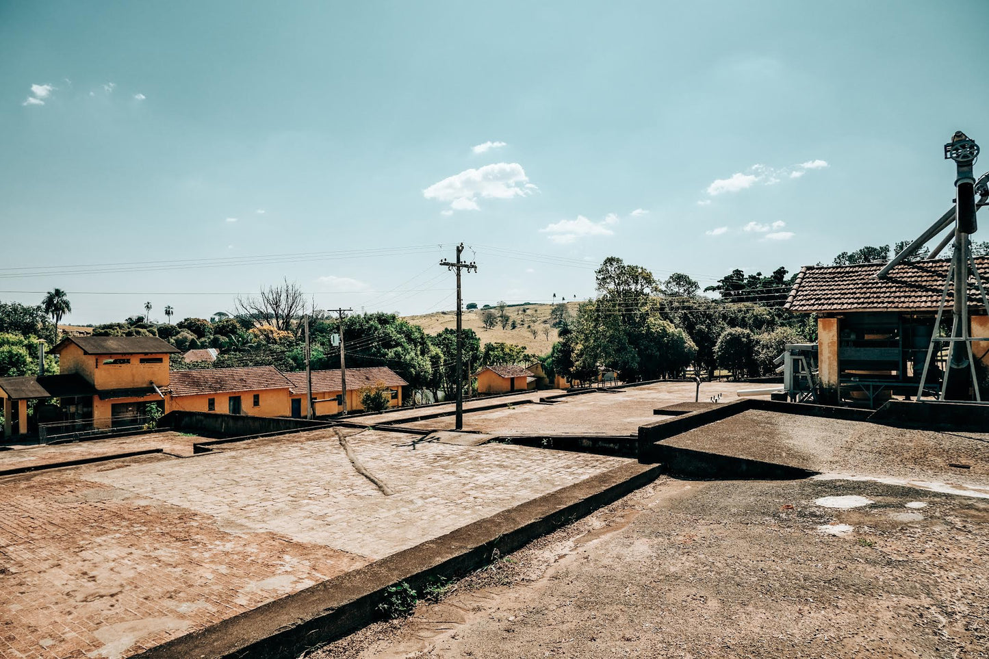 SPECIALITY COFFEE BEANS - ANDREA COSTA, UGANDA, SINGLE ORIGIN