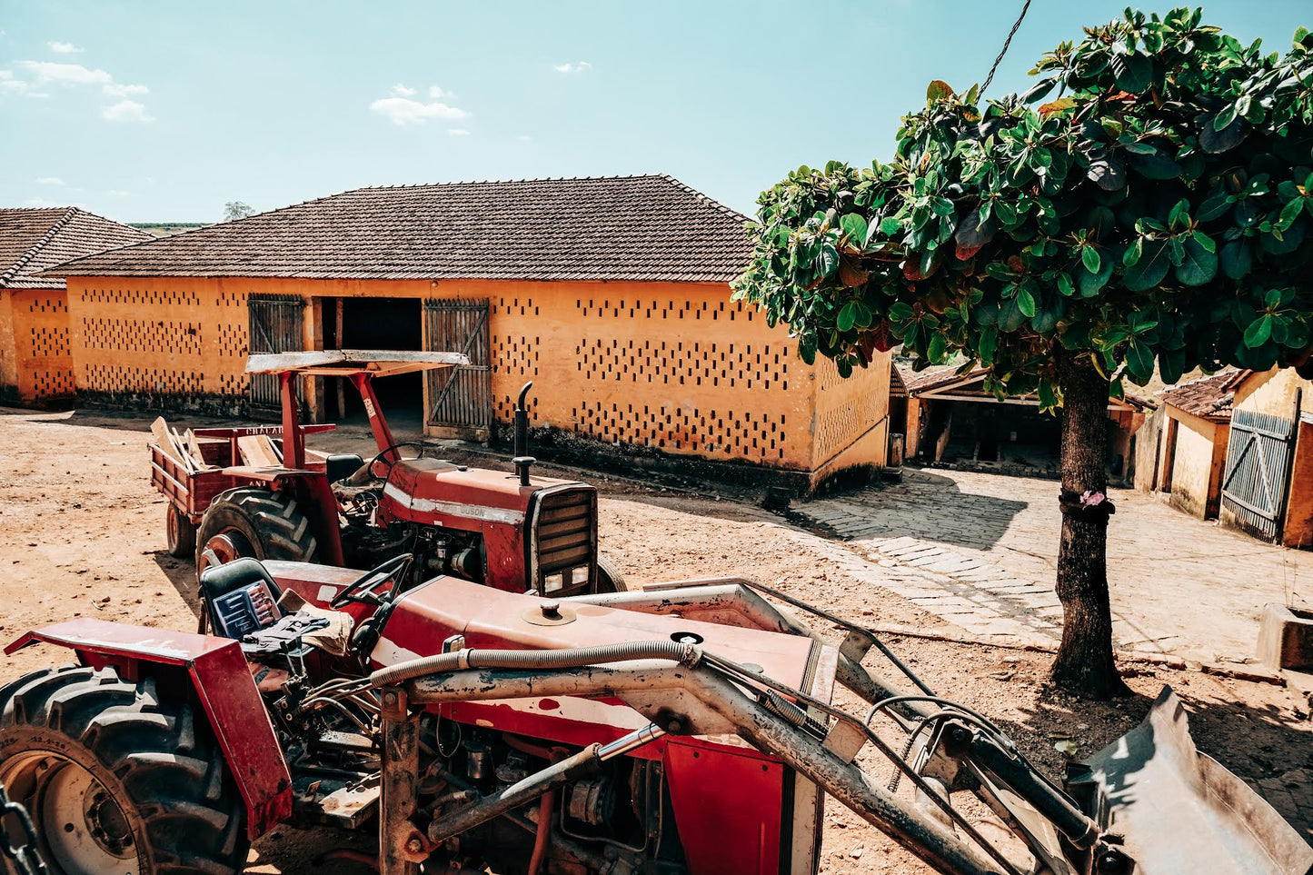 SPECIALITY COFFEE BEANS - ANDREA COSTA, UGANDA, SINGLE ORIGIN
