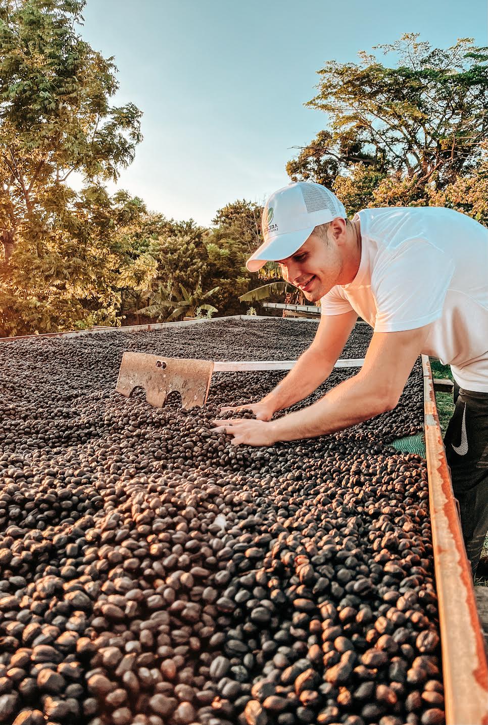 SPECIALITY COFFEE BEANS - HERMANOS AGUILERA, FINCA CHAYOTE, COSTA RICA, SINGLE ORIGIN