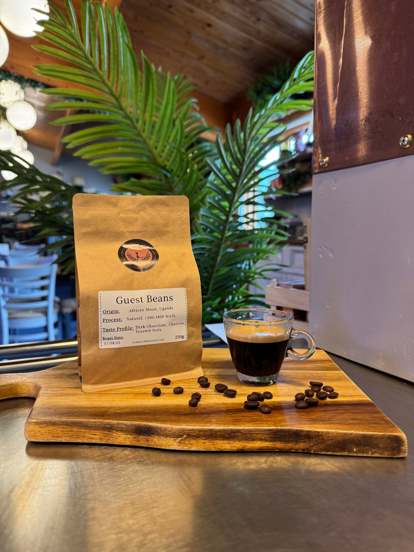 SPECIALITY COFFEE BEANS - AFRICAN MOON, UGANDA, SINGLE ORIGIN