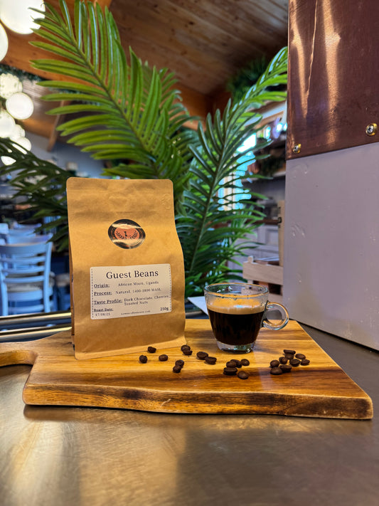 SPECIALITY COFFEE BEANS - AFRICAN MOON, UGANDA, SINGLE ORIGIN