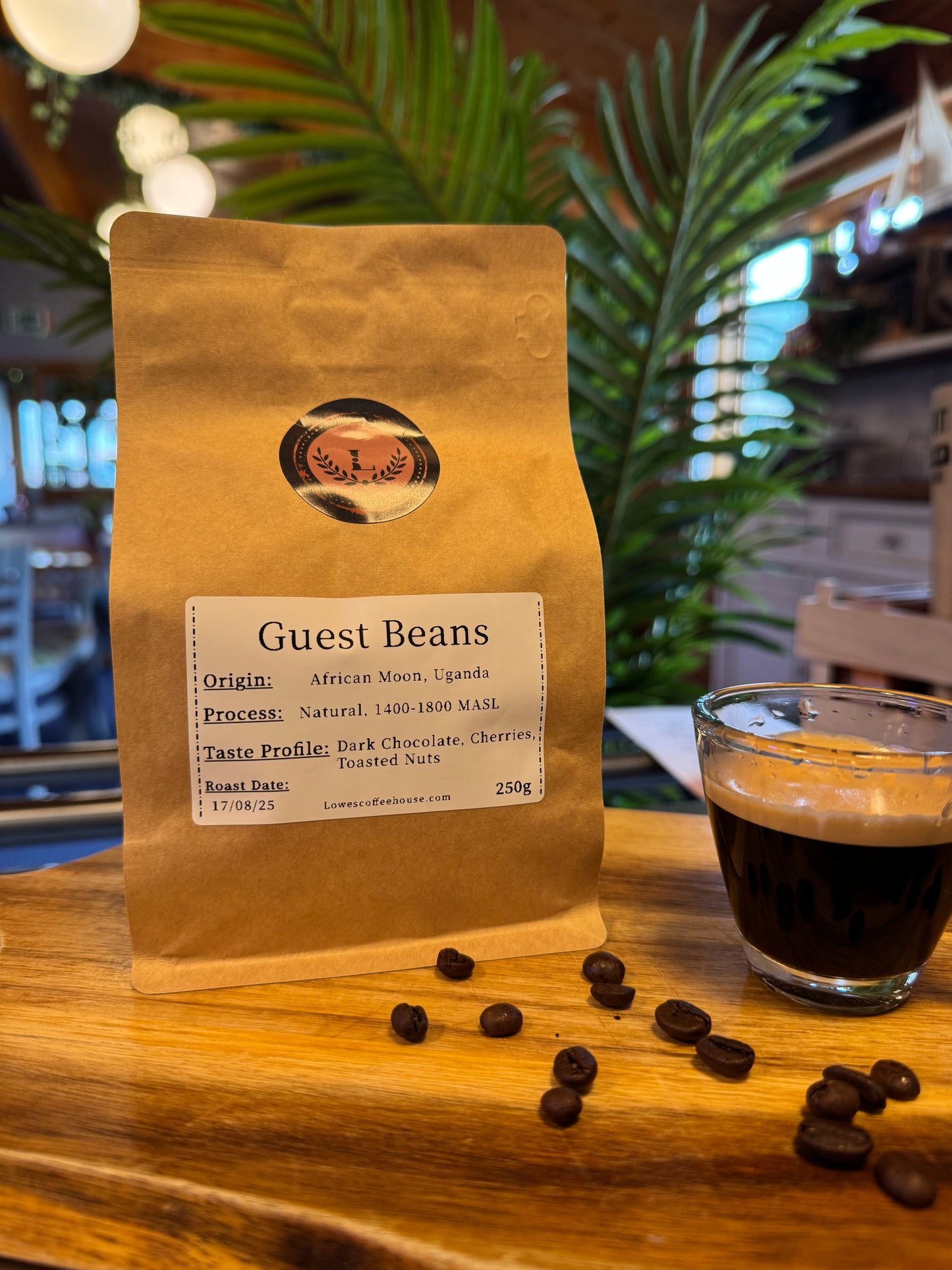 SPECIALITY COFFEE BEANS - AFRICAN MOON, UGANDA, SINGLE ORIGIN