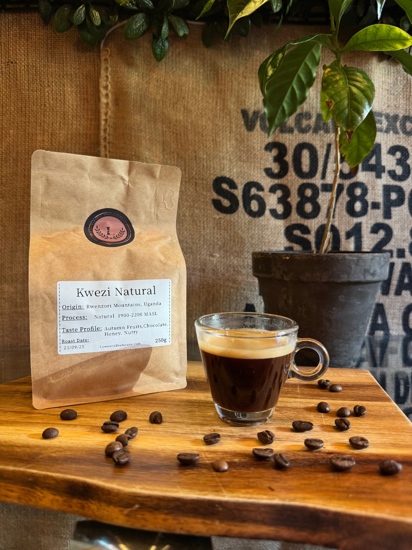 SPECIALITY COFFEE BEANS - KWEZI NATURAL, RWENZORI MOUNTAINS, UGANDA, SINGLE ORIGIN