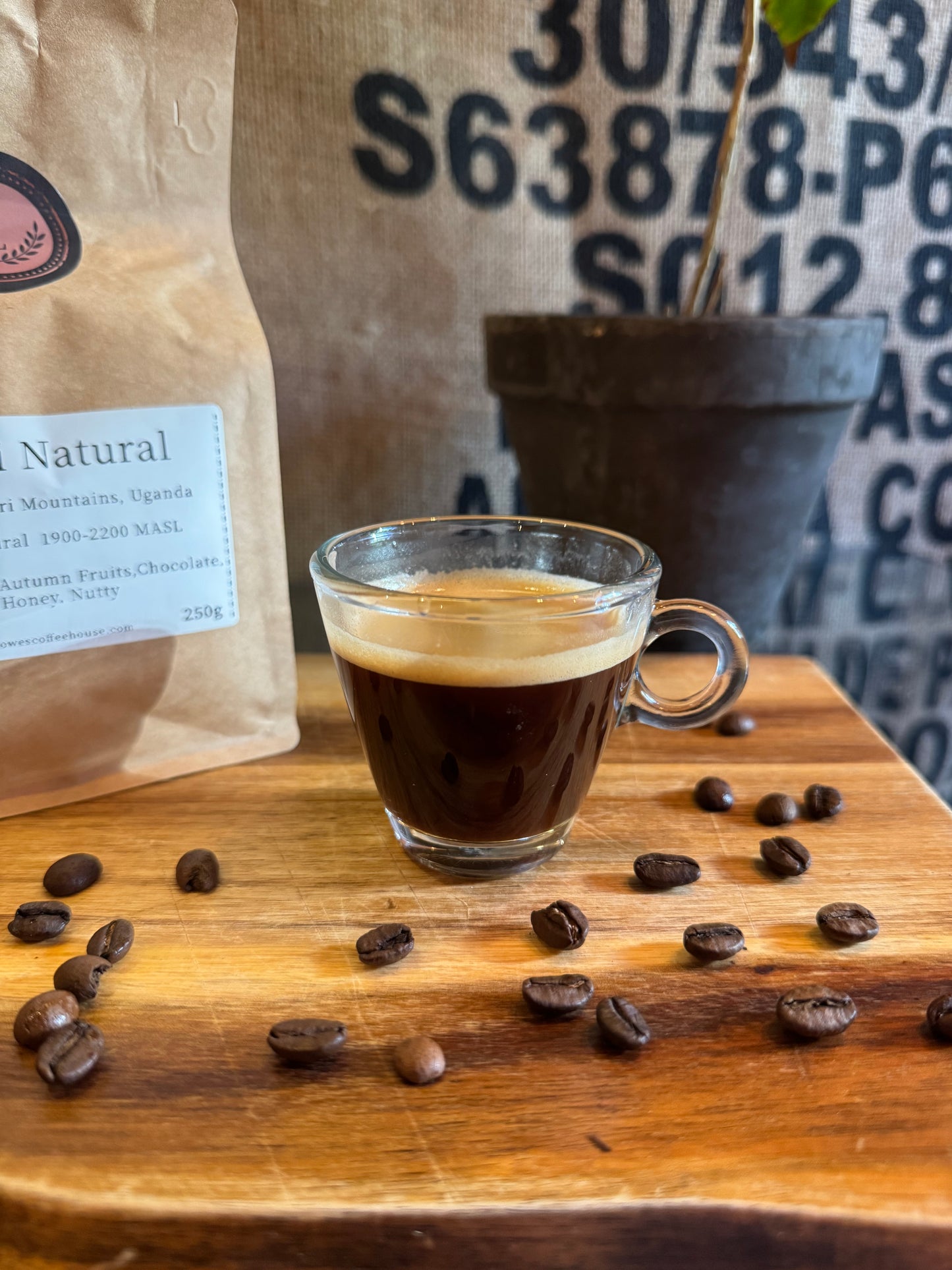 SPECIALITY COFFEE BEANS - KWEZI NATURAL, RWENZORI MOUNTAINS, UGANDA, SINGLE ORIGIN