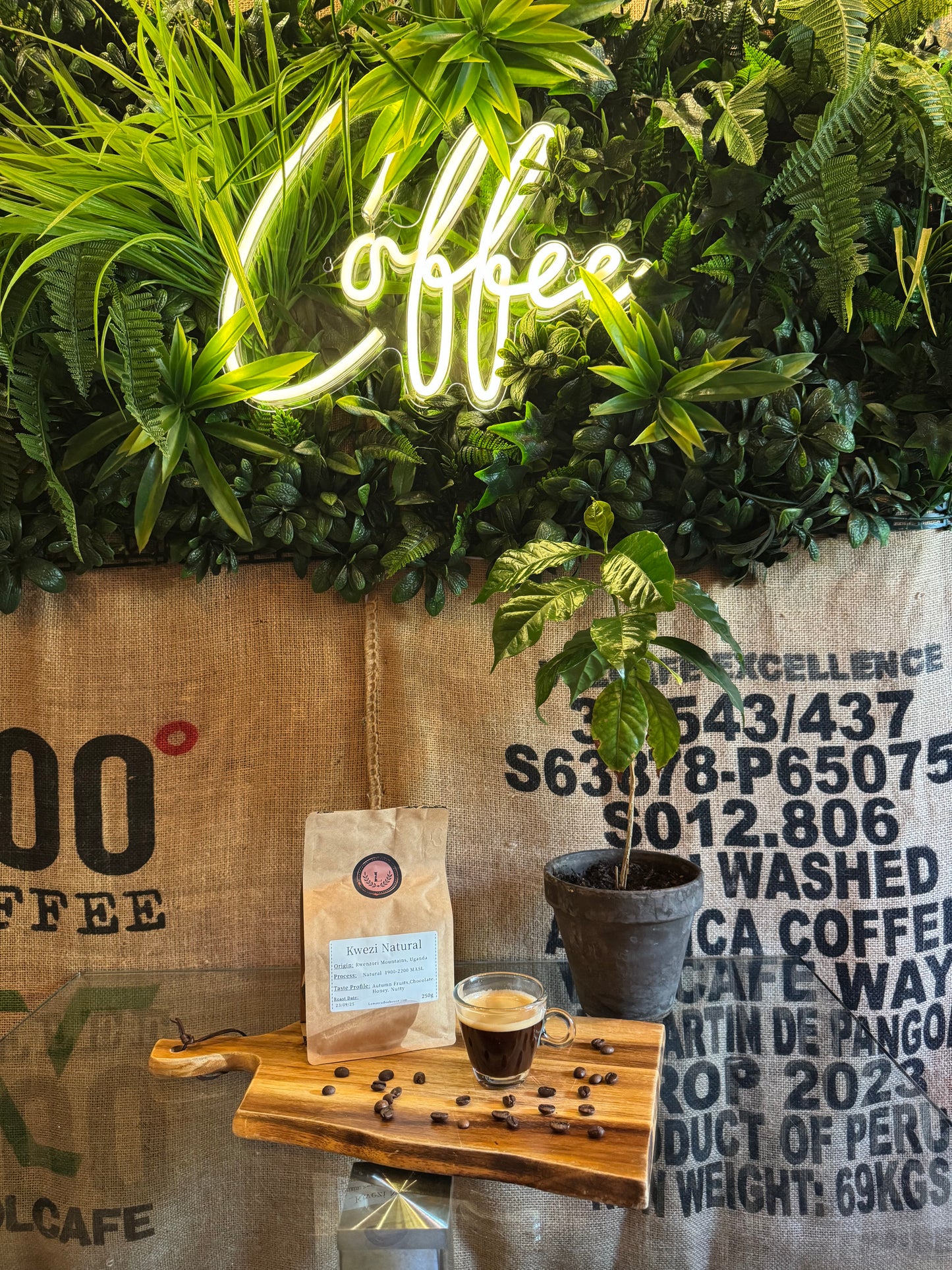 SPECIALITY COFFEE BEANS - KWEZI NATURAL, RWENZORI MOUNTAINS, UGANDA, SINGLE ORIGIN