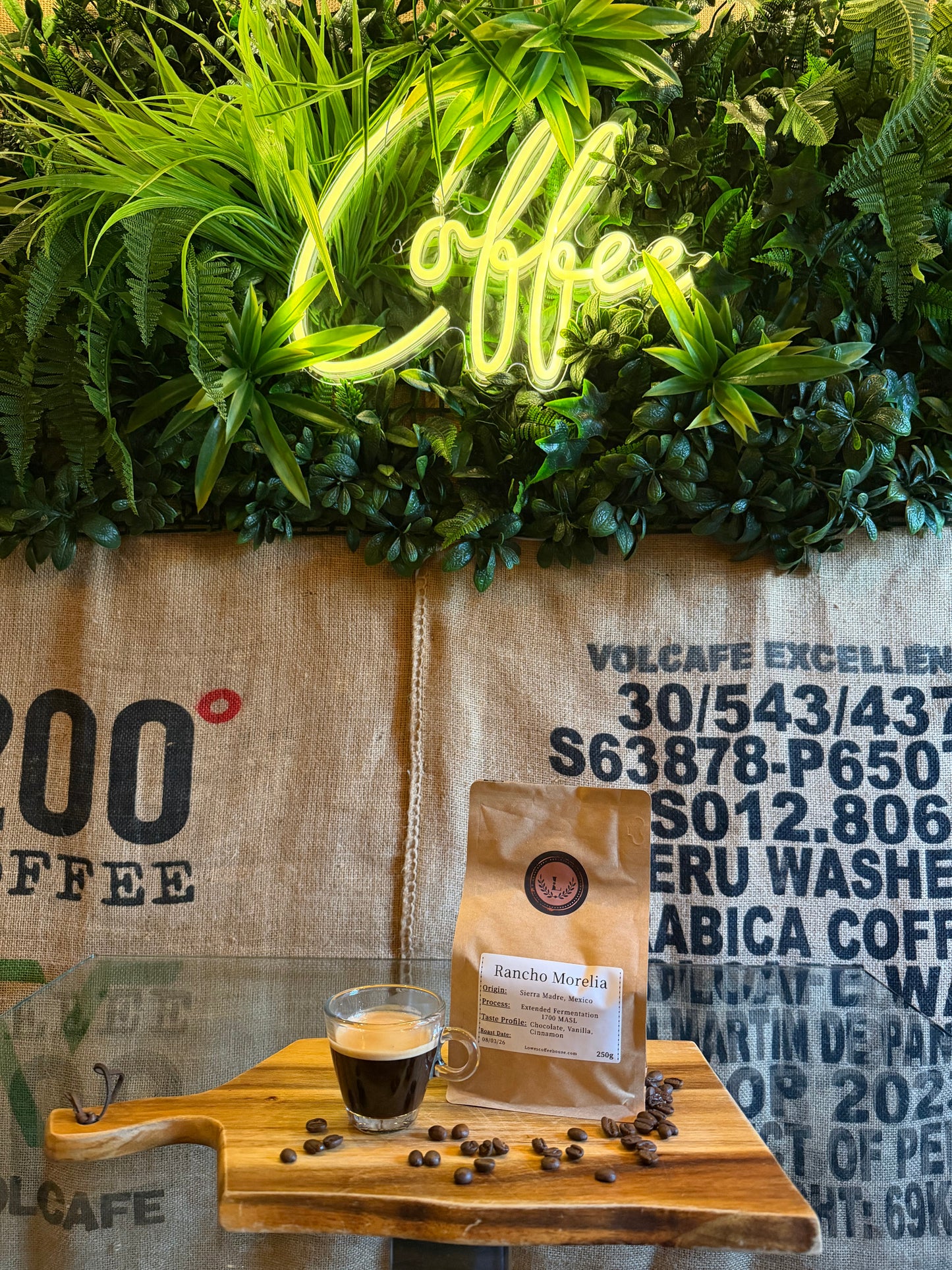 SPECIALITY COFFEE BEANS - RANCHO MORELIA, SIERRA MADRE, MEXICO, SINGLE ORIGIN