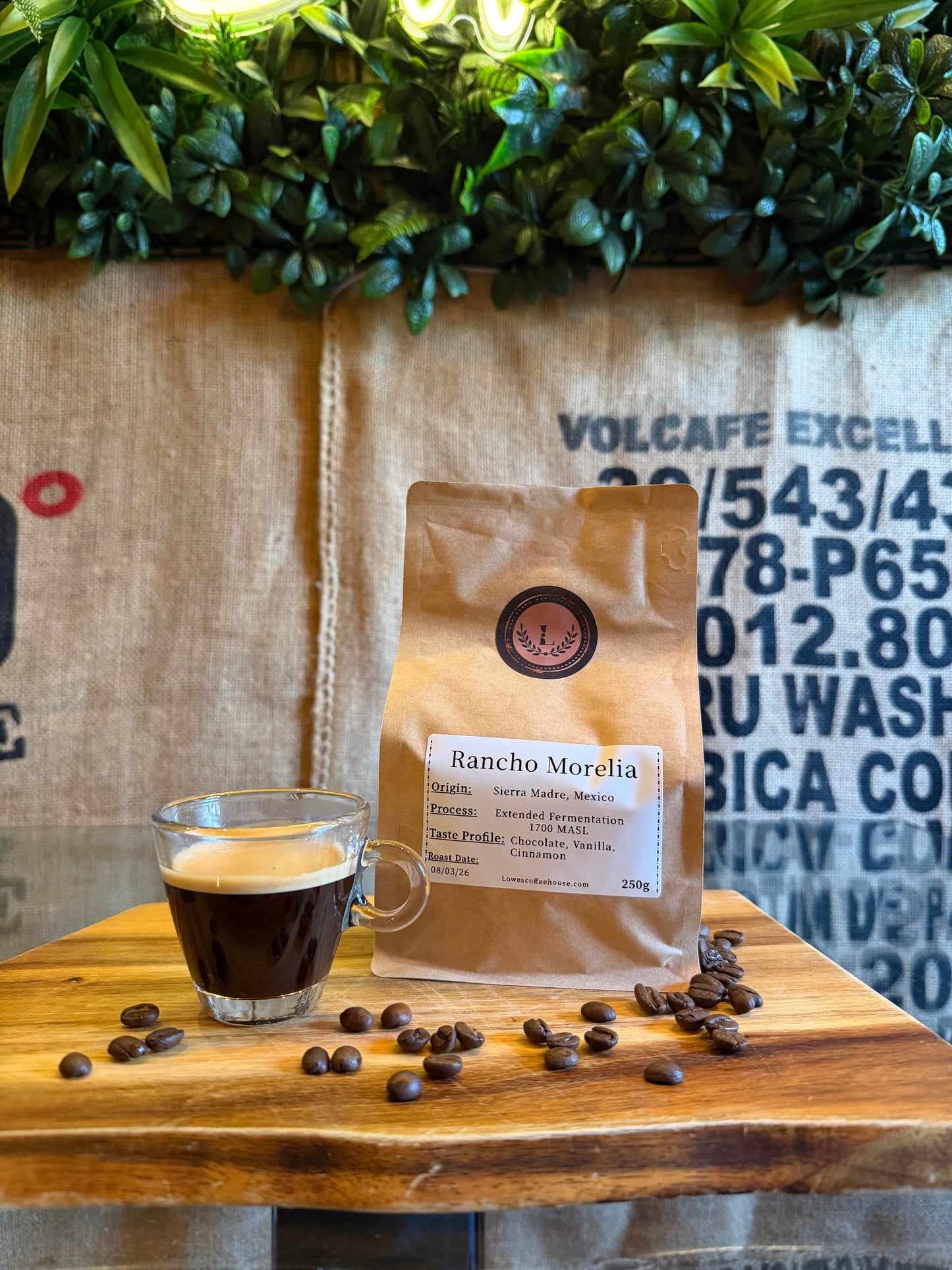 SPECIALITY COFFEE BEANS - RANCHO MORELIA, SIERRA MADRE, MEXICO, SINGLE ORIGIN