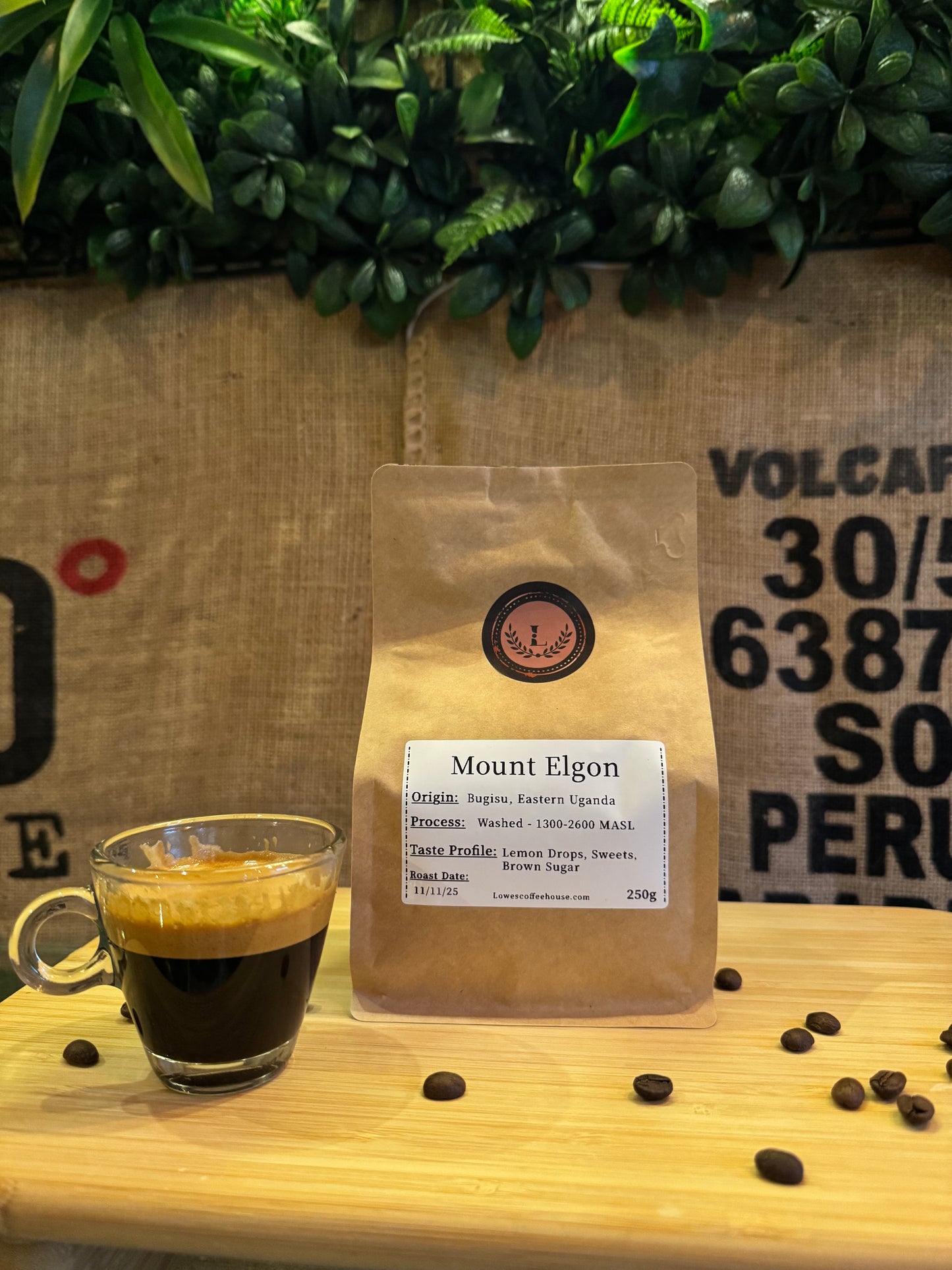 SPECIALITY COFFEE BEANS - MOUNT ELGON, BUGISU, EASTERN UGANDA, SINGLE ORIGIN