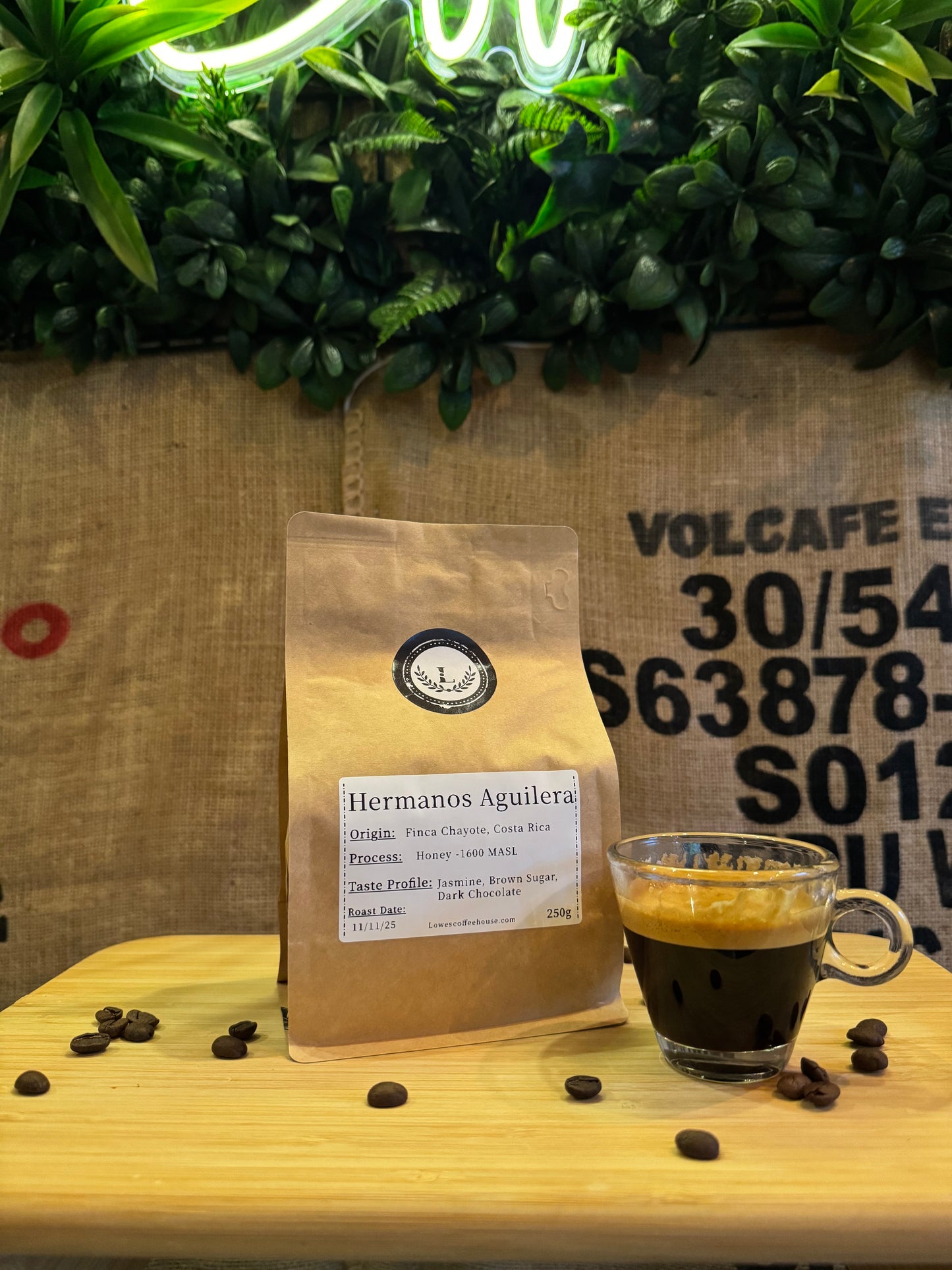 SPECIALITY COFFEE BEANS - HERMANOS AGUILERA, FINCA CHAYOTE, COSTA RICA, SINGLE ORIGIN