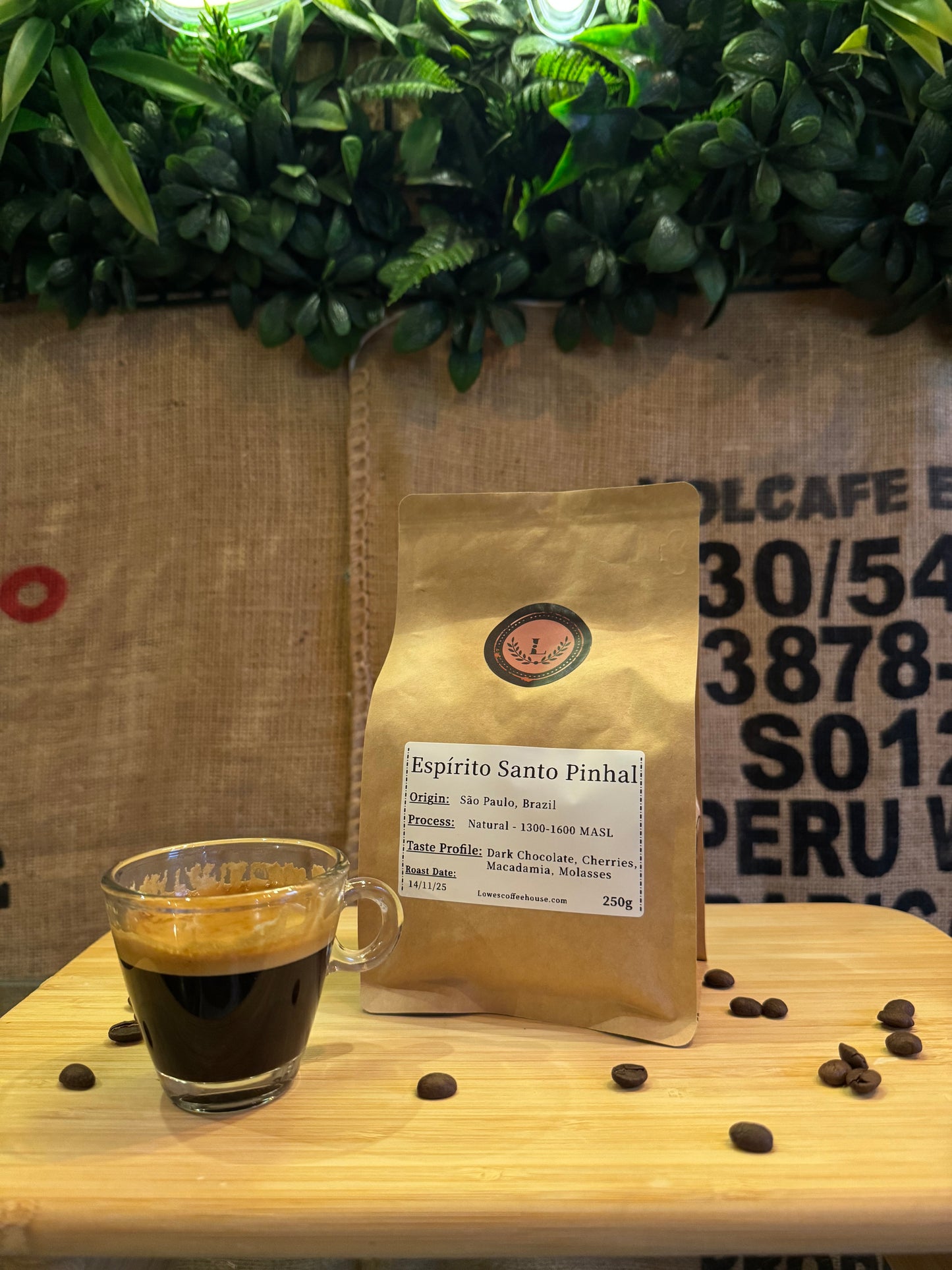 SPECIALITY COFFEE BEANS - ESPIRITO SANTO PINHAL, SÃO PAULO, BRAZIL, SINGLE ORIGIN