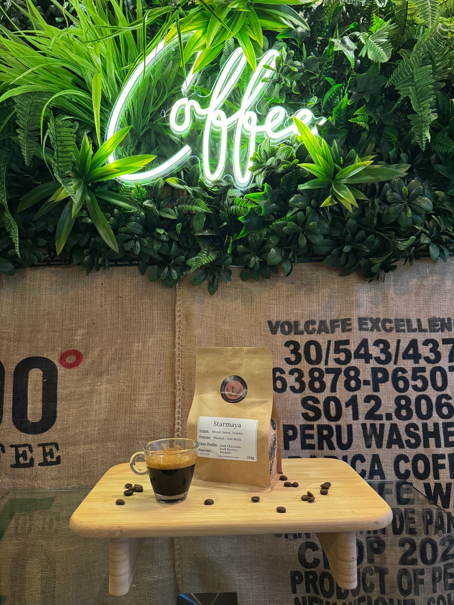 SPECIALITY COFFEE BEANS - STARMAYA, MOUNT SUNZU, ZAMBIA, SINGLE ORIGIN