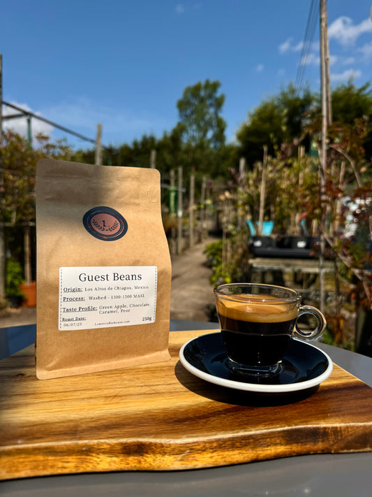 SPECIALITY COFFEE BEANS - LOS ALTOS, COSTA RICA, SINGLE ORIGIN